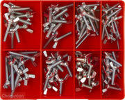 Champion CA1798 Wing Screw Metric Assortment Kit, 95 Pcs1
