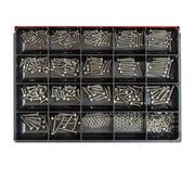 Champion CA1872 Metric Small Set Screw & Nut Stainless Steel Master Kit - AIMS Industrial Supplies