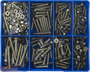 Champion CA1890 Machine Screw Phillips & Nut (316/A4) Kit, 295 Pcs - AIMS Industrial Supplies