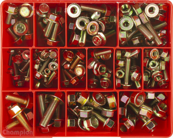 Champion CA200 Hex Flange Set Screw Metric GR8.8 Assortment Kit1