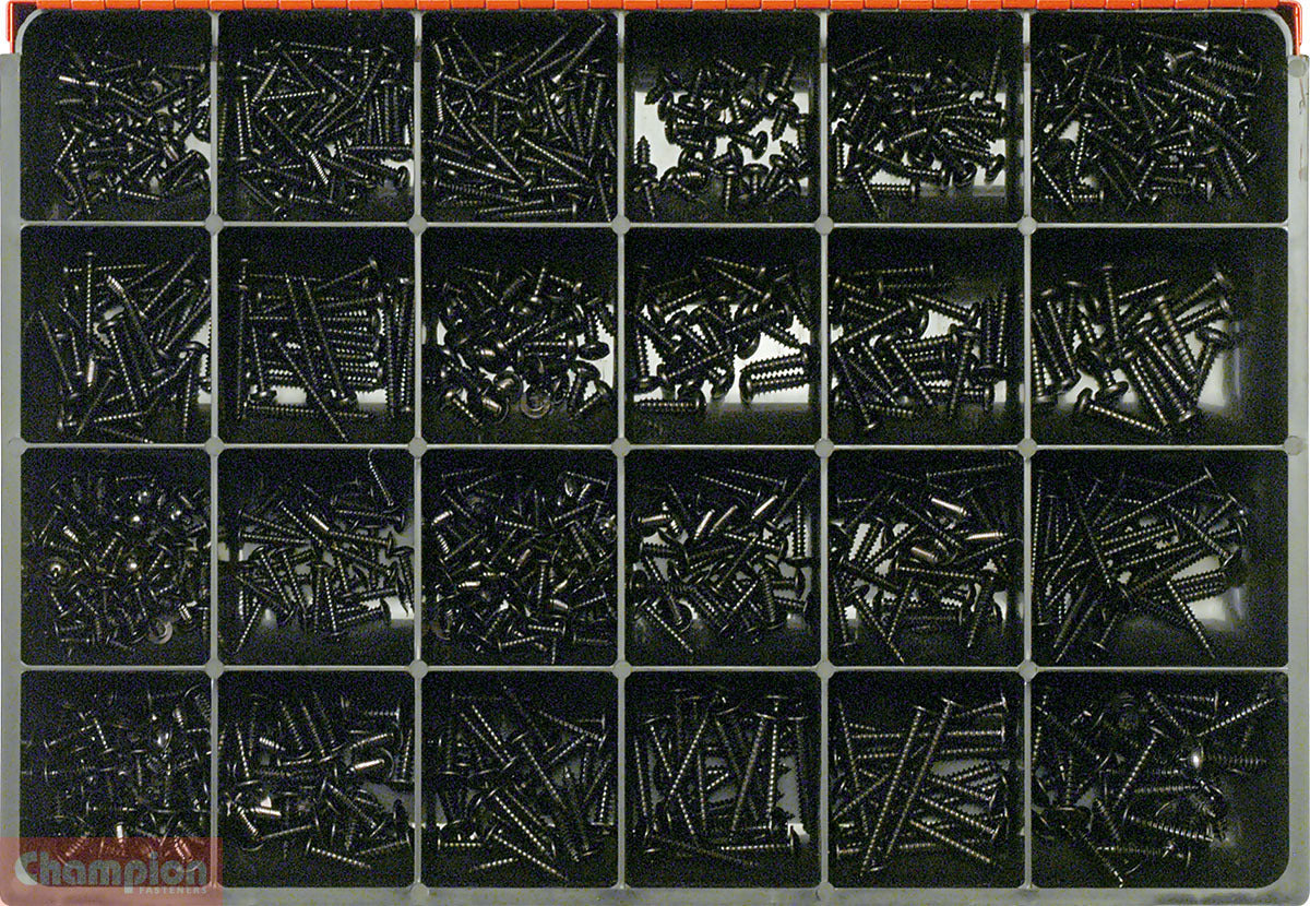 Champion CA2045 Self Tapping Screw Phillips Assortment Kit1