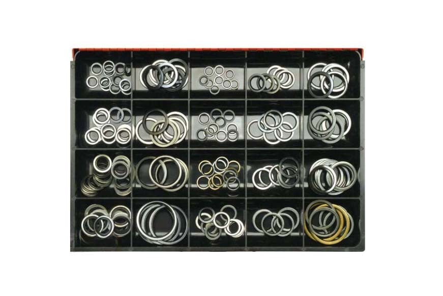Champion CA2173 Dowty Seal Washer Master Kit - 173 Pieces1