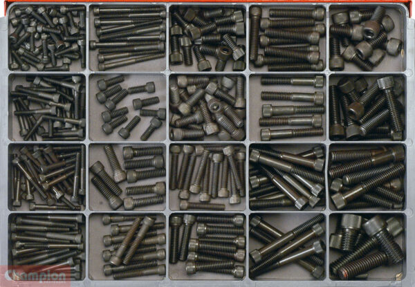 Champion CA2300 BSW Socket Head Cap Screw H/T Master Kit1