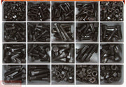 Champion CA2370 Bolt, Screw and Nut UNC Assortment Kit, 393 Pcs - AIMS Industrial Supplies