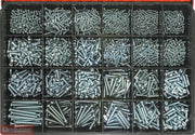Champion CA2705 Pan Head Phillips Machine Screw Kit, 1785 Pcs - AIMS Industrial Supplies