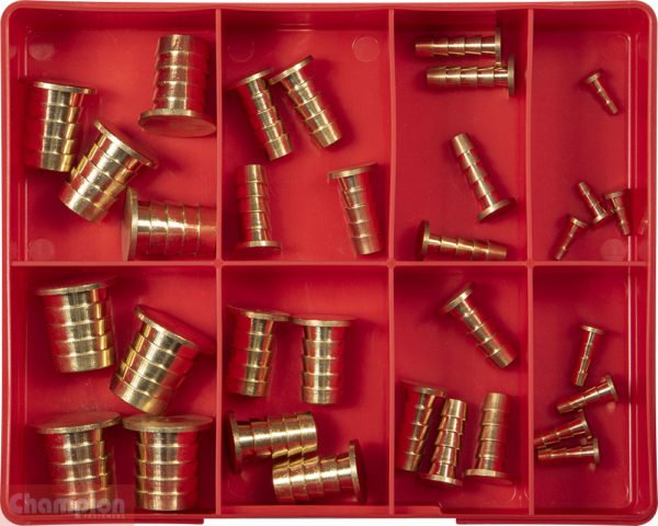 Champion CA40 Hose Plug Barbed Brass Assortment Kit - 32 Pieces - AIMS Industrial Supplies