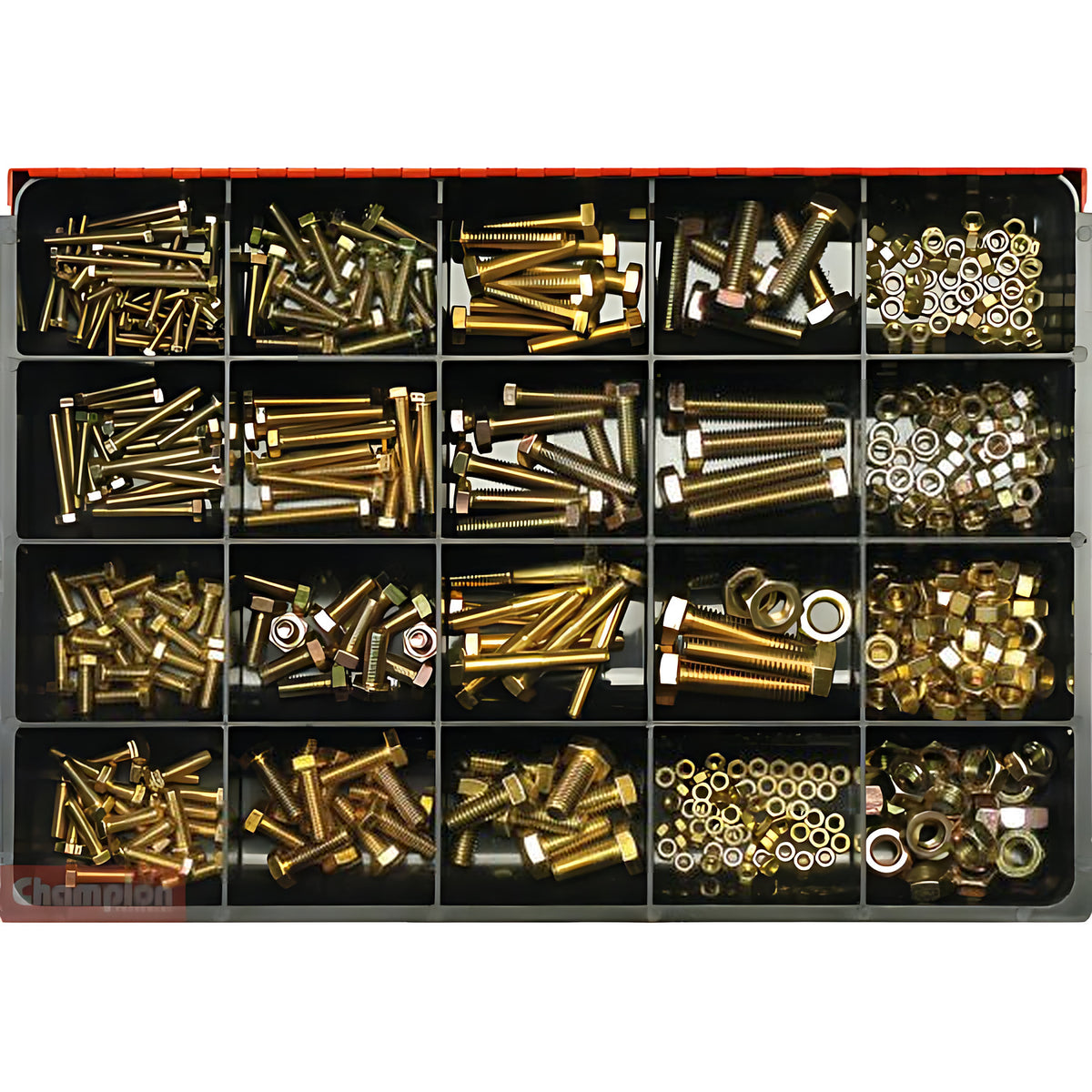 Champion CA431 Set Screw, Bolt & Nut Metric Assortment Kit