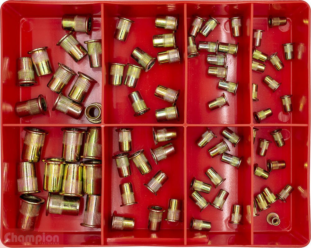 Champion CA505 Rivet Nut Insert Steel Assortment Kit - AIMS Industrial Supplies