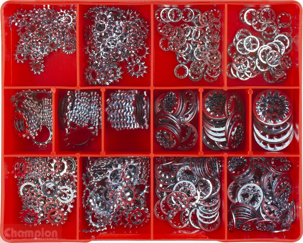 Champion CA510 Internal and External Star Washer Kit, 500 Pcs - AIMS Industrial Supplies