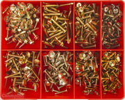 Champion CA530 Self-Drilling Screw Assortment Kit1