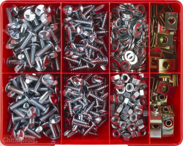 Champion CA570 Anti-Theft Screw Assortment Kit - AIMS Industrial Supplies