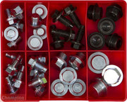 Champion CA60 Drain (Sump) Plug Assortment Kit - 38 Pieces - AIMS Industrial Supplies