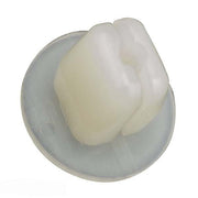 Champion CBP13 Screw Grommet 3.27mm Screw Size White - 50/Pack - AIMS Industrial Supplies