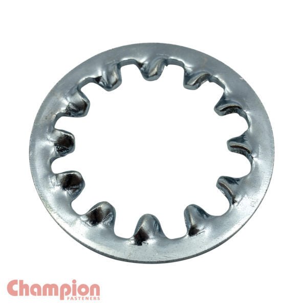 Champion IMW Internal Star Washer Zinc Plated - Metric - AIMS Industrial Supplies
