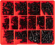 Champion Metric Black Machine Screw Assortment Kit1