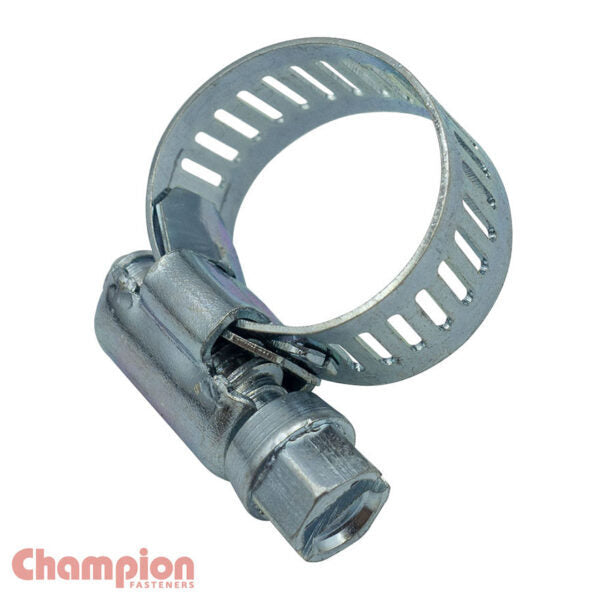 Champion RY36 Hose Clamp 46 - 70mm RY Standard - 12.8mm Band - 10/Pack
