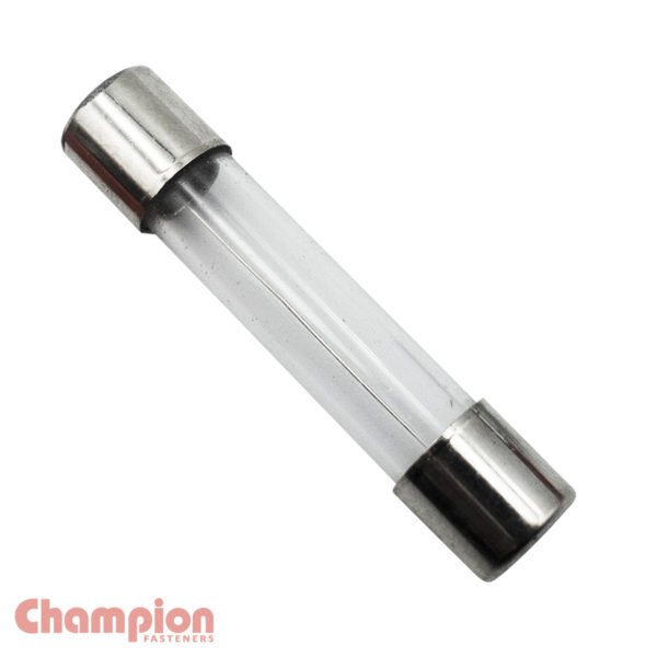 Champion SFE14 Glass Fuse SFE 14 Amp - 50/Pack - AIMS Industrial Supplies