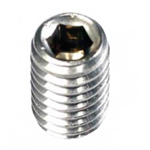 Champion Stainless Grub Screw - AIMS Industrial Supplies