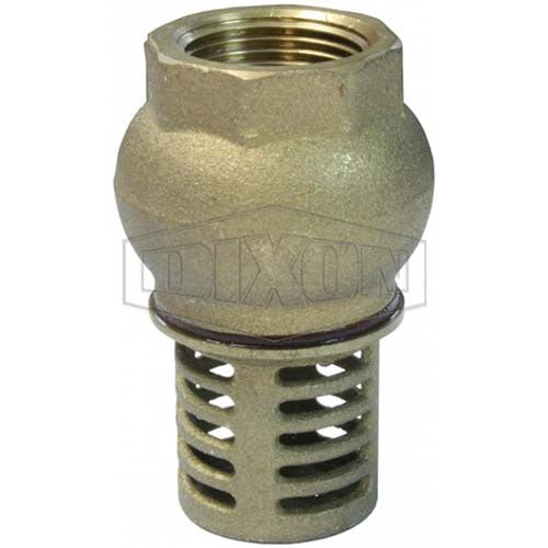 Dixon 25mm Brass Foot Valve BSP