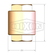 Dixon Brass Inline Spring Check Valve York Plastic Stem - AIMS Industrial Supplies