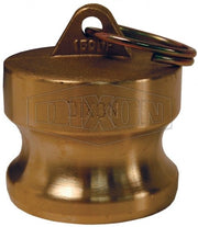 Dixon Brass Standard BSP Cam & Groove Type DP Dust Plug - AIMS Industrial Supplies