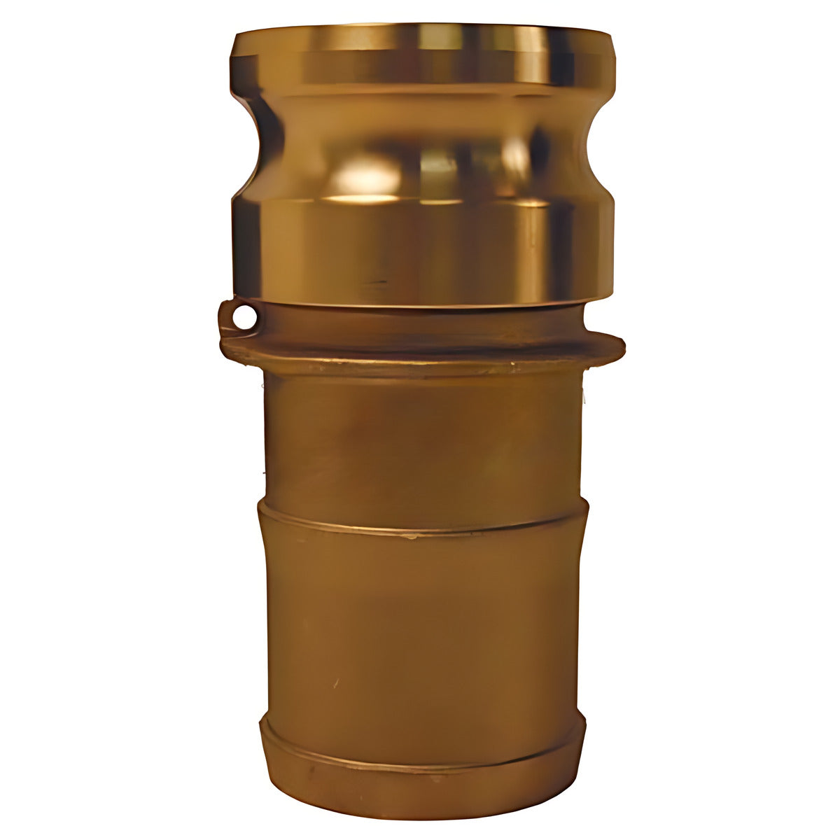 Dixon Brass Standard BSP Cam & Groove Type E Adaptor x Hose Shank, 20 mm to 65 mm