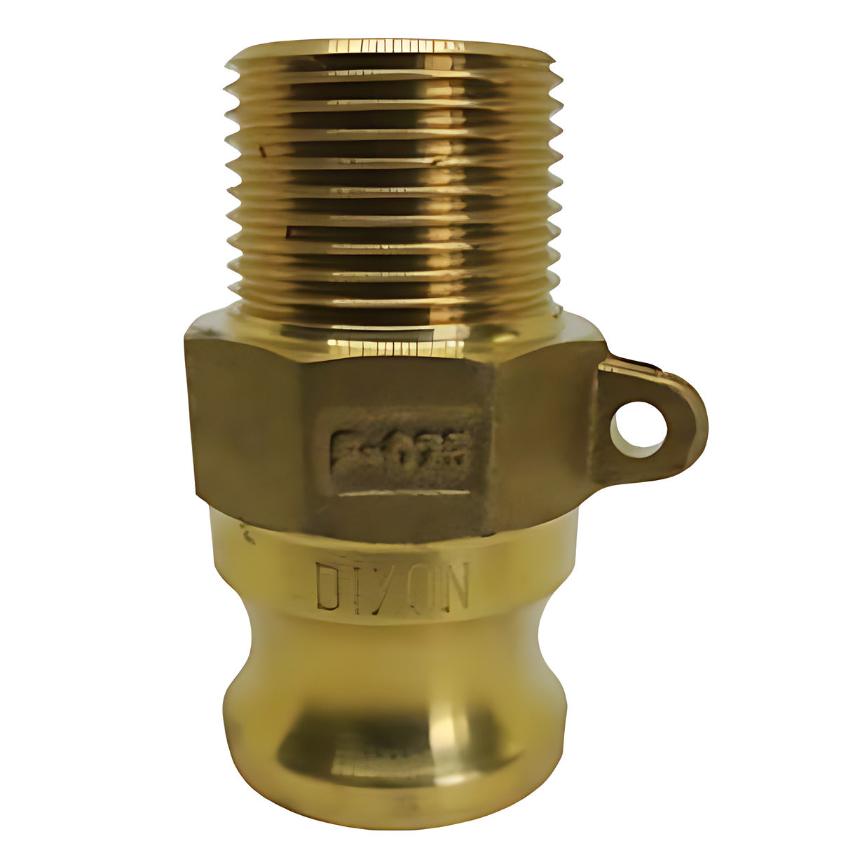 Dixon Cam & Groove Type F Adaptor x Male BSP Brass, 20 mm to 100 mm