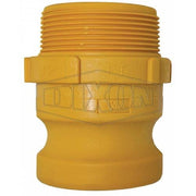 Dixon Cam & Groove Type F Adaptor x Male BSP Nyglass - AIMS Industrial Supplies