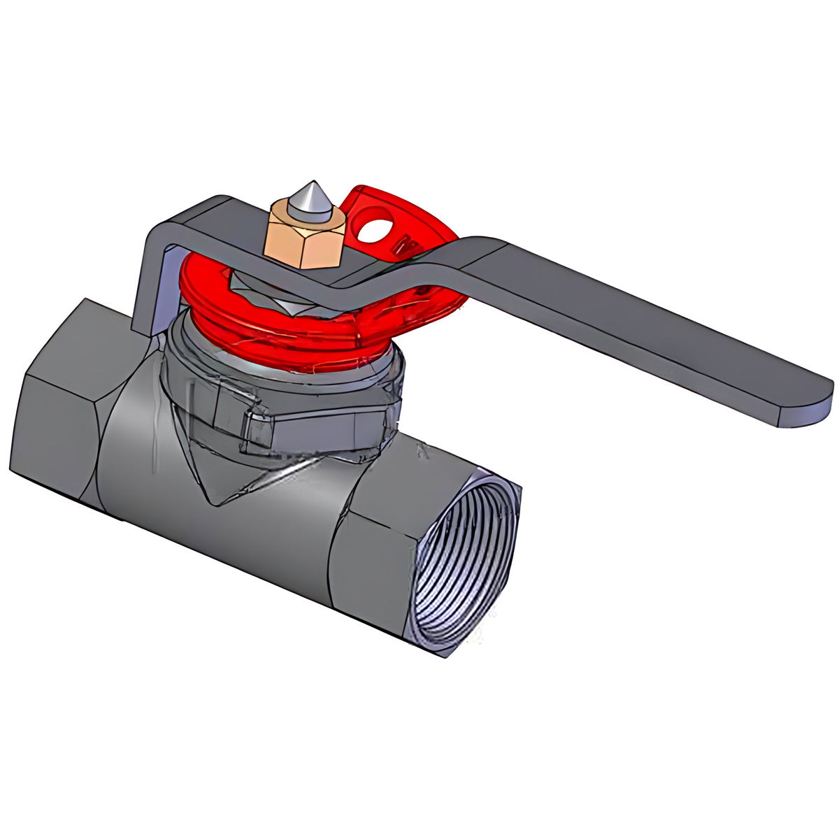 Dixon Econovalve - Ball Valve Lockout BSP Female x BSP Female, 3/4" to 2"