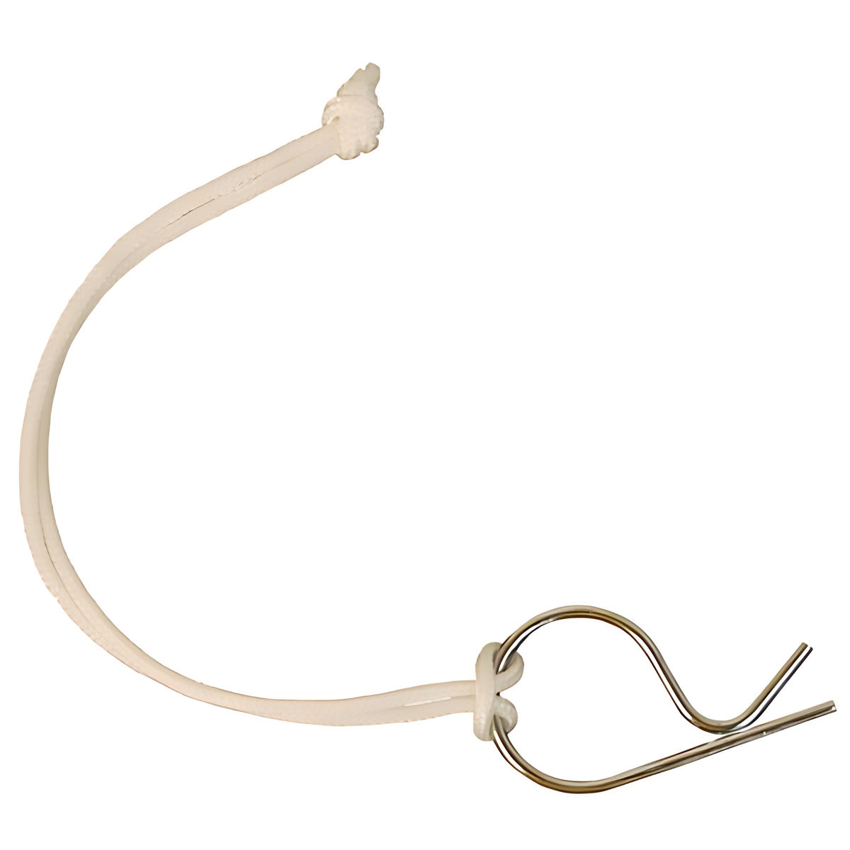 Dixon Lanyard with Carbon Steel Clip for Boss-Lock Couplings