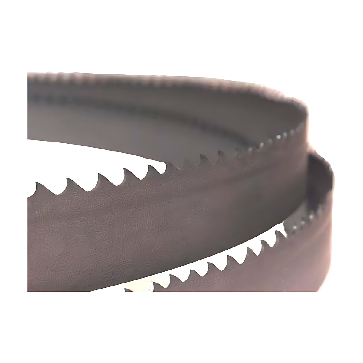 Excision Bi-Alfa Cobalt M42 62020812 2420-34115mm band saw blade, close-up of blade teeth