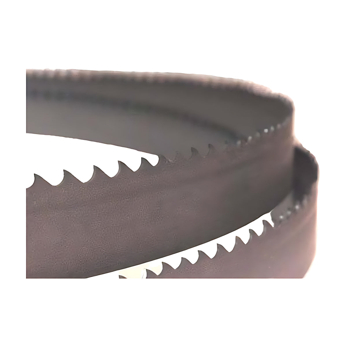Close-up of teeth on a grey Excision band saw blade, M42 Profile WS 67 x 1.6mm 2/3 TPI 62667203