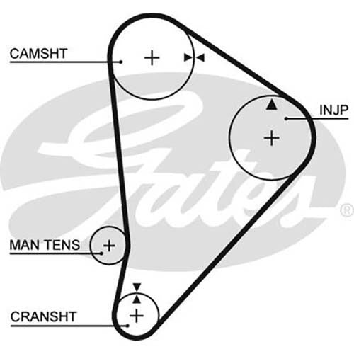 Gates Powergrip Automotive Timing Belt (25.4mm)2