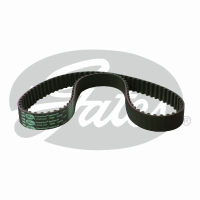 Gates Powergrip Automotive Timing Belt (25mm) - AIMS Industrial Supplies