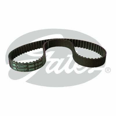 Gates Powergrip Automotive Timing Belt (25mm) - AIMS Industrial Supplies