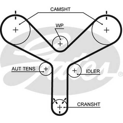 Gates Powergrip Automotive Timing Belt (34mm) - AIMS Industrial Supplies