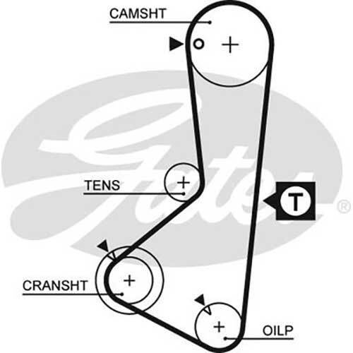 Gates Powergrip Automotive Timing Belt - AIMS Industrial Supplies