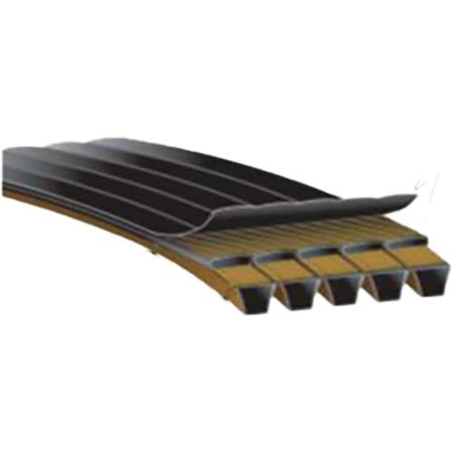 Gates Predator Narrow Section PowerBand Belt - SPB - P Section - AIMS Industrial Supplies