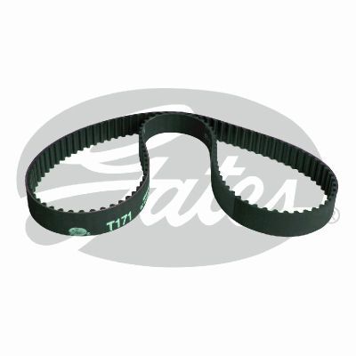 Gates T171 Powergrip Timing Belt 25 x 1134mm 119 Teeth HNBR (Nitrile Rubber)