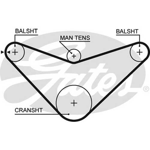 Gates T186 Powergrip Timing Belt 16 x 667mm 70 Teeth HNBR (Nitrile Rubber)2
