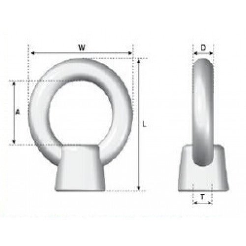 JIS Collared Eye Nut - 316 Stainless Steel - AIMS Industrial Supplies