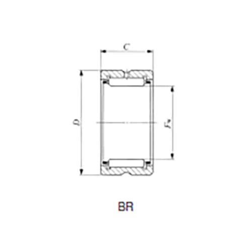 Machine Needle Roller Bearing w/o Inner Ring - BR2