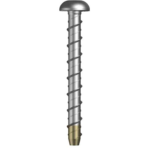 Masonry Xbolt Torx Drive Dome Head Mechanical Galvanised - AIMS Industrial Supplies