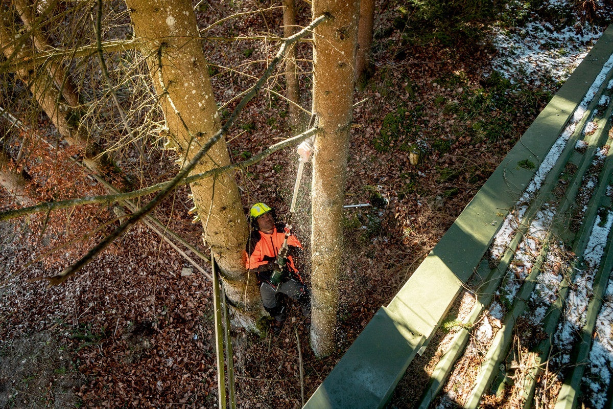 Metabo MA-MS 25 Pole Pruner 250mm Multi-Function Powerhead Attachment10