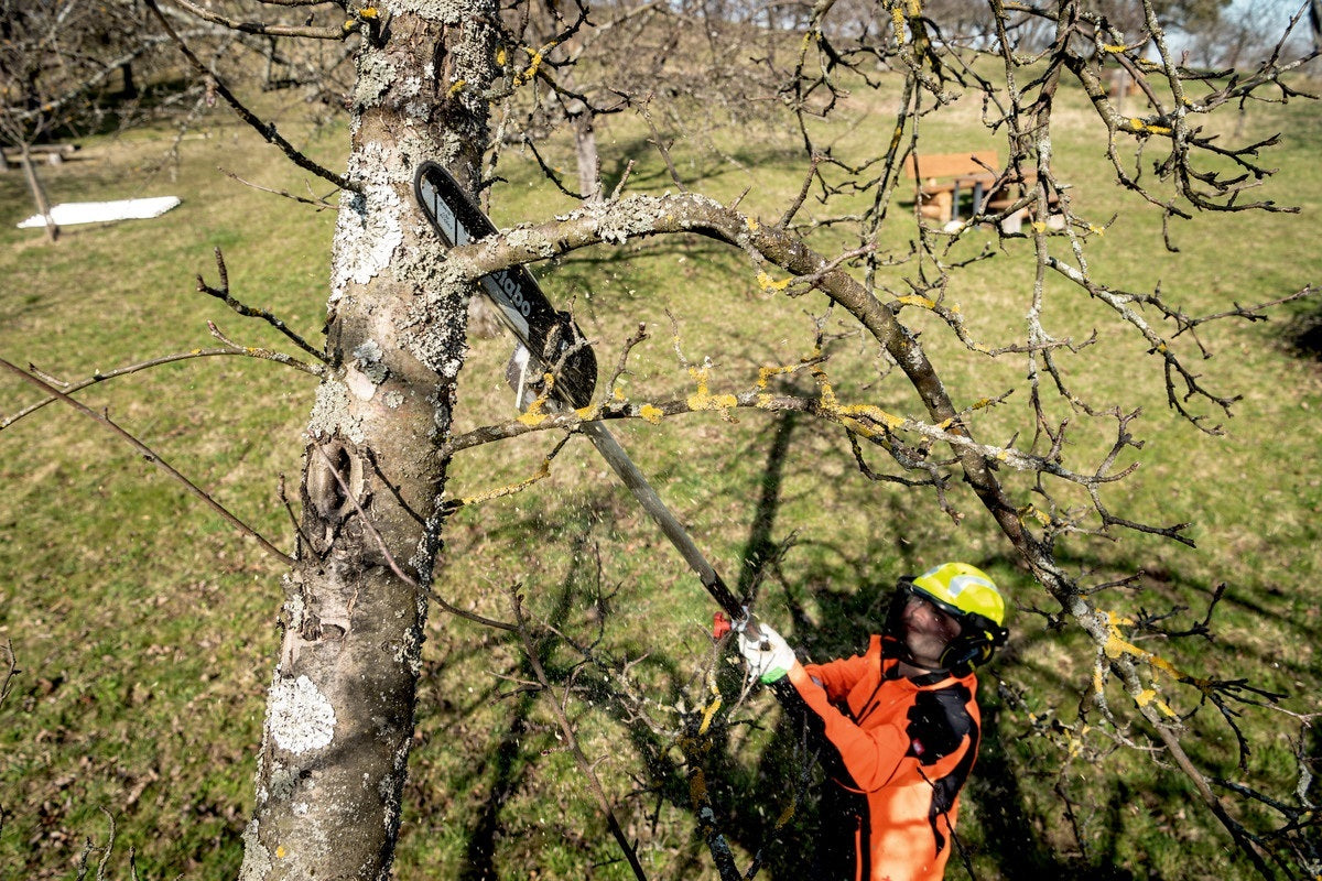 Metabo MA-MS 25 Pole Pruner 250mm Multi-Function Powerhead Attachment7