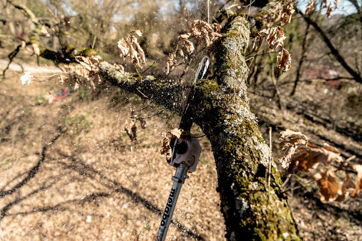 Metabo MA-MS 25 Pole Pruner 250mm Multi-Function Powerhead Attachment9