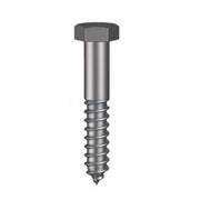 Metric Hex Coach Screw Class 4.6 Zinc Plated - AIMS Industrial Supplies