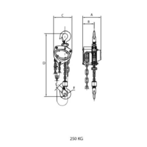 Pacific Chain Block4