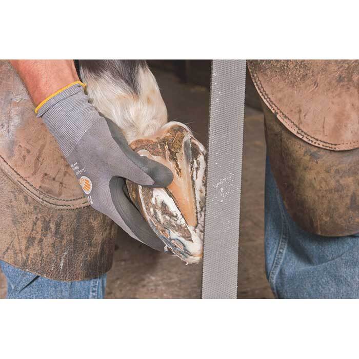 Pferd 13180350 Horse Rasp File - Hoof Plane Milled Tooth 350mm (8") - AIMS Industrial Supplies