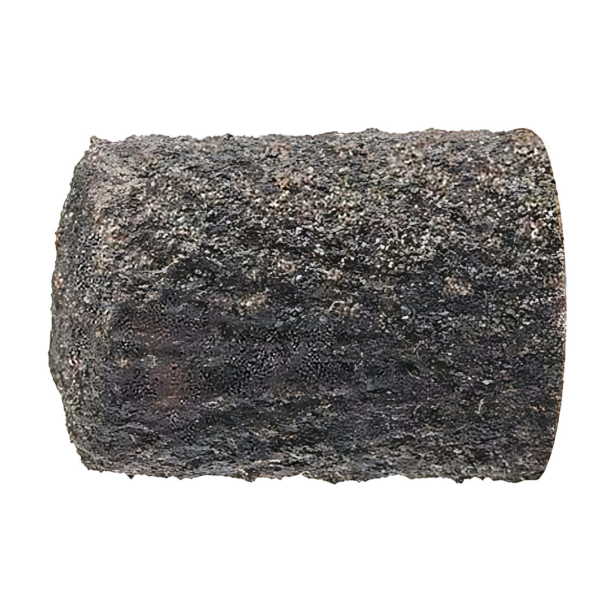 Pferd POLICAP PC ZYA cap, cylindrical, grey-black fine grain with streaked texture, large cap, side view